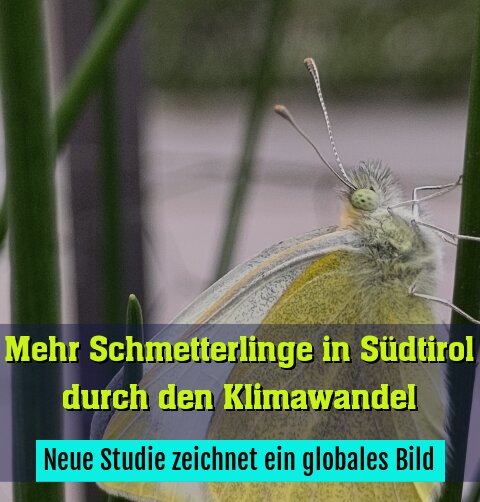 Neue Studie zeichnet ein globales Bild