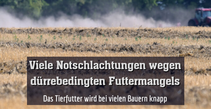 Das Tierfutter wird bei vielen Bauern knapp