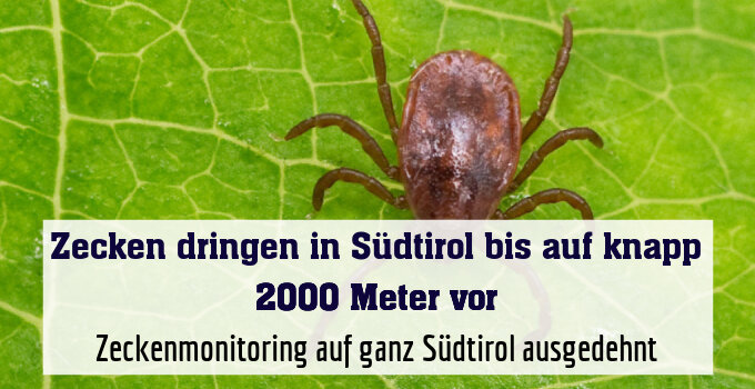 Zeckenmonitoring auf ganz Südtirol ausgedehnt