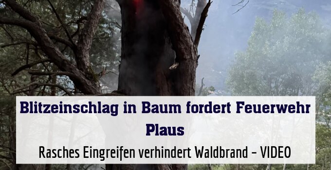 Rasches Eingreifen verhindert Waldbrand nahe des Holzerhofs – VIDEO