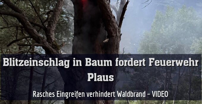 Rasches Eingreifen verhindert Waldbrand nahe des Holzerhofs – VIDEO