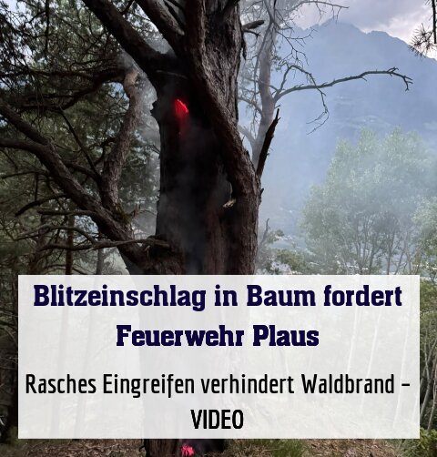 Rasches Eingreifen verhindert Waldbrand nahe des Holzerhofs – VIDEO