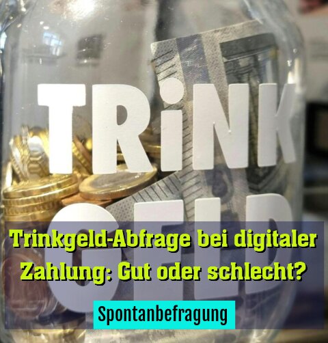 Spontanbefragung