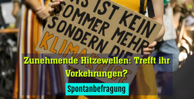 Spontanbefragung