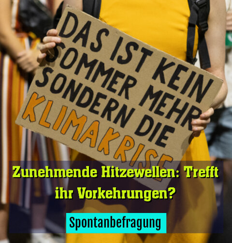 Spontanbefragung