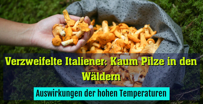 Auswirkungen der hohen Temperaturen
