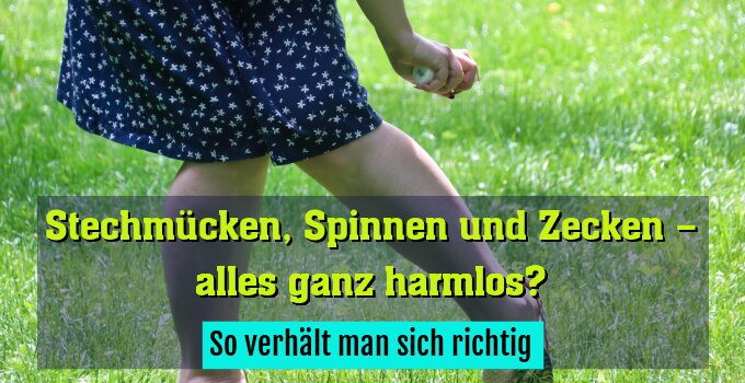 So verhält man sich richtig