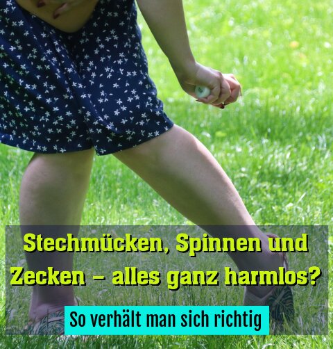 So verhält man sich richtig