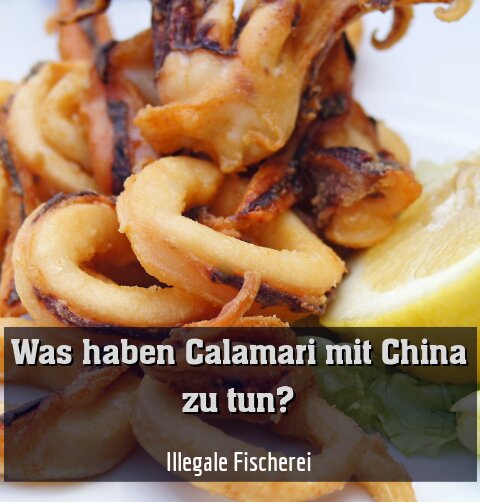 Illegale Fischerei