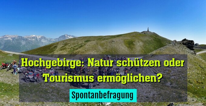 Spontanbefragung