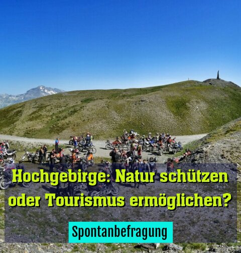 Spontanbefragung