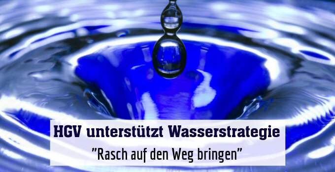 "Rasch auf den Weg bringen"