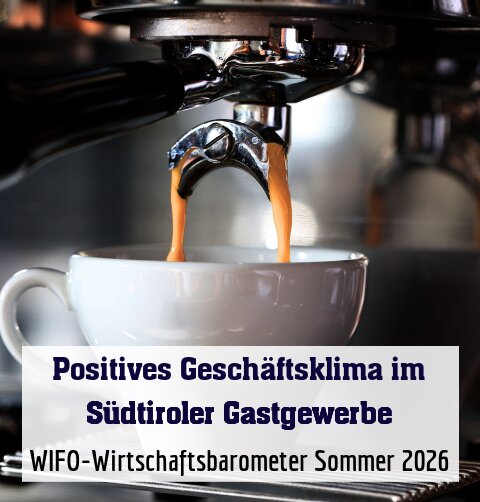 WIFO-Wirtschaftsbarometer Sommer 2026