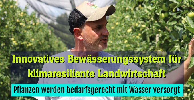 Pflanzen werden bedarfsgerecht mit Wasser versorgt