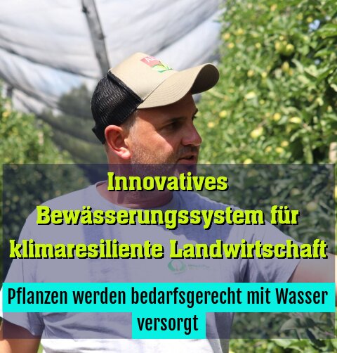 Pflanzen werden bedarfsgerecht mit Wasser versorgt