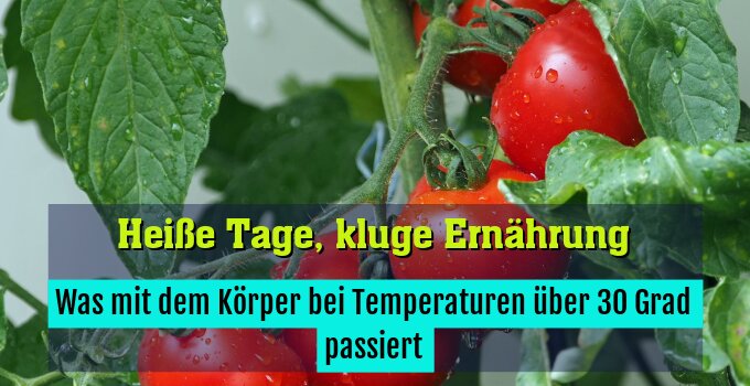 Was mit dem Körper bei Temperaturen über 30 Grad passiert