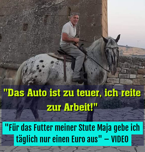 "Für das Futter meiner Stute Maja gebe ich täglich nur einen Euro aus" – VIDEO