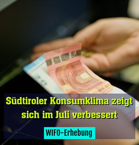 WIFO-Erhebung