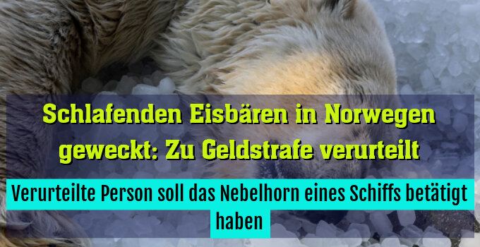 Verurteilte Person soll das Nebelhorn eines Schiffs betätigt haben