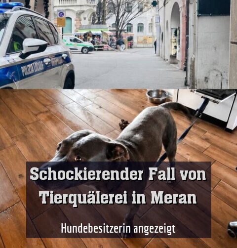 Hundebesitzerin angezeigt