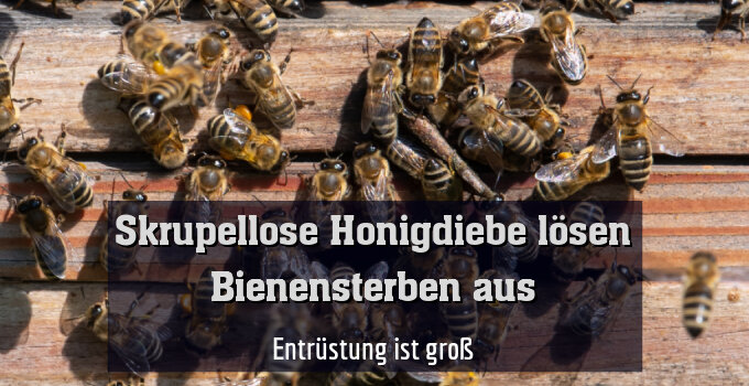 Entrüstung ist groß