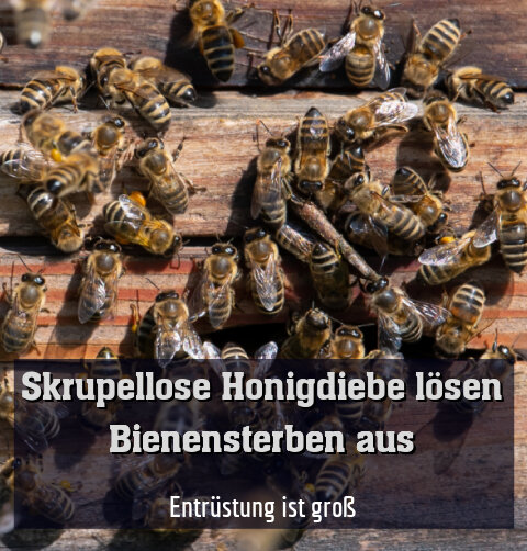 Entrüstung ist groß