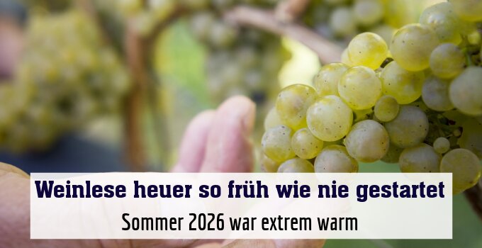 Sommer 2026 war extrem warm