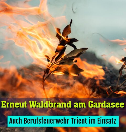 Auch Berufsfeuerwehr Trient im Einsatz