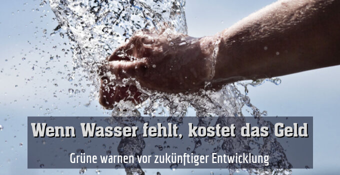 Grüne warnen vor zukünftiger Entwicklung