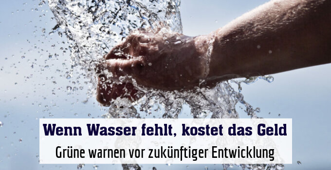 Grüne warnen vor zukünftiger Entwicklung
