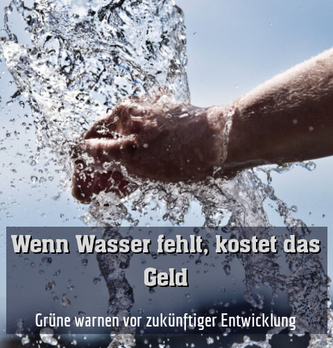 Grüne warnen vor zukünftiger Entwicklung