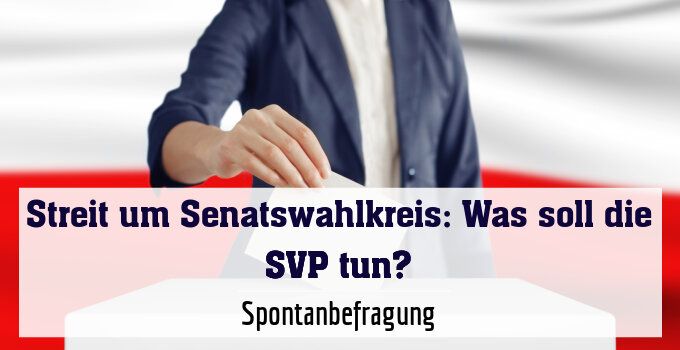 Spontanbefragung