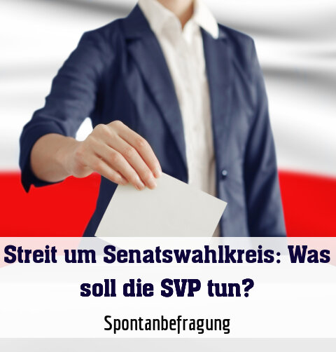 Spontanbefragung