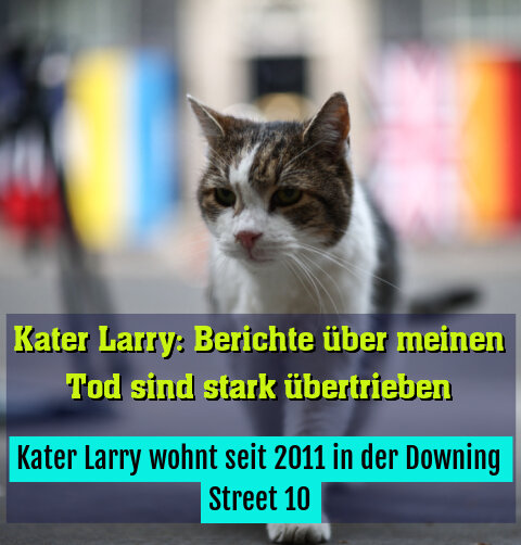 Kater Larry wohnt seit 2011 in der Downing Street 10