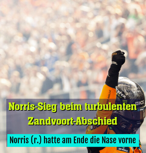 Die Siegerfaust von Norris