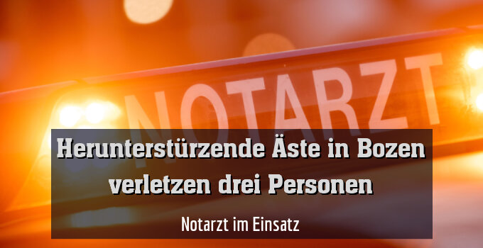 Notarzt im Einsatz