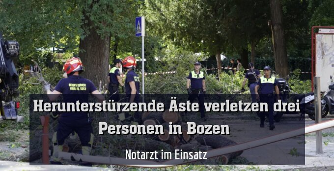 Notarzt im Einsatz