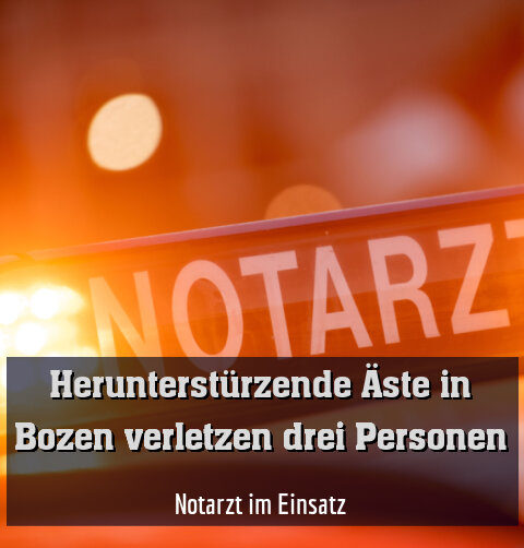 Notarzt im Einsatz