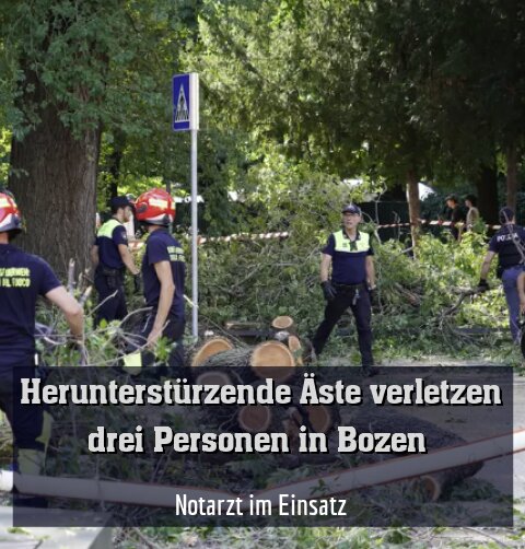 Notarzt im Einsatz
