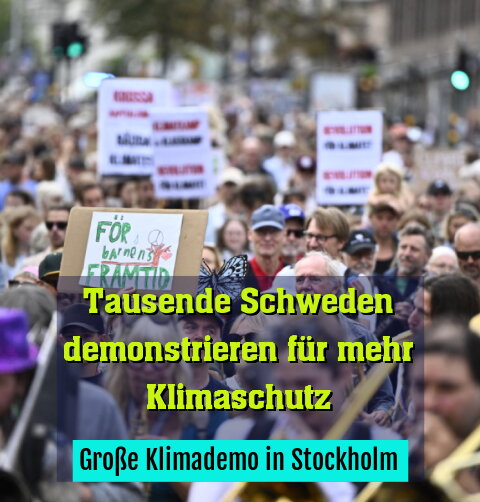 Große Klimademo in Stockholm
