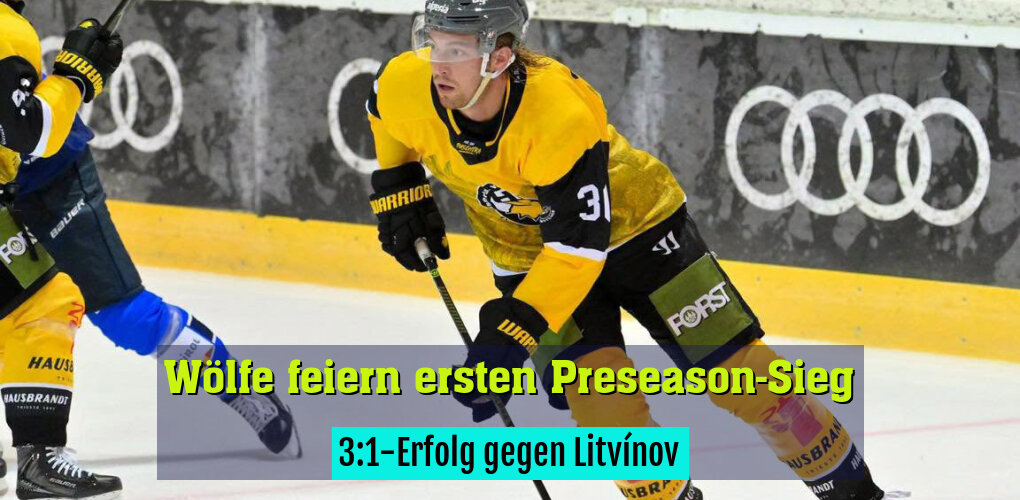 3:1-Erfolg gegen Litvínov