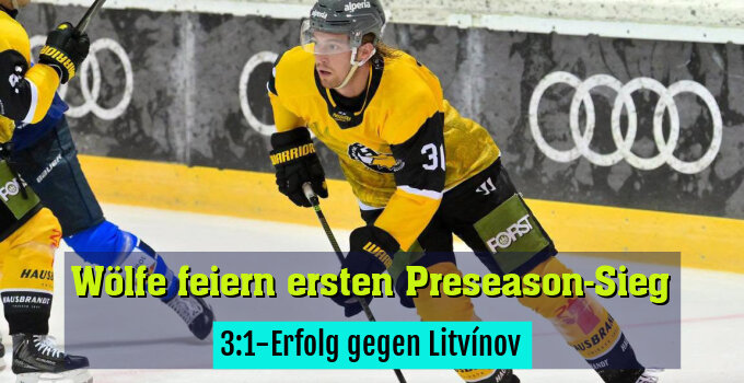 3:1-Erfolg gegen Litvínov