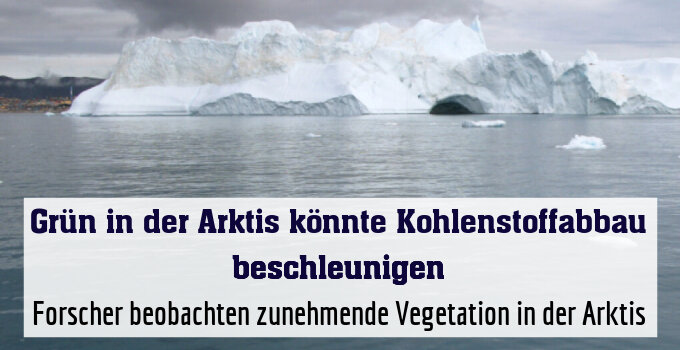 Forscher beobachten zunehmende Vegetation in der Arktis