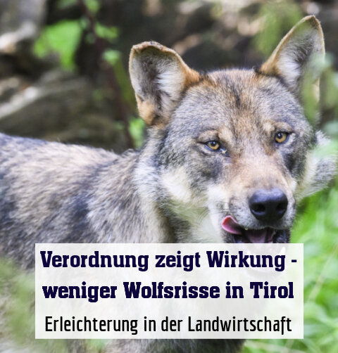 Erleichterung in der Landwirtschaft