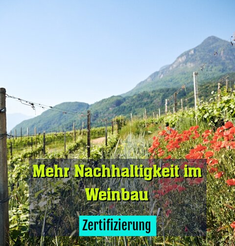 Zertifizierung