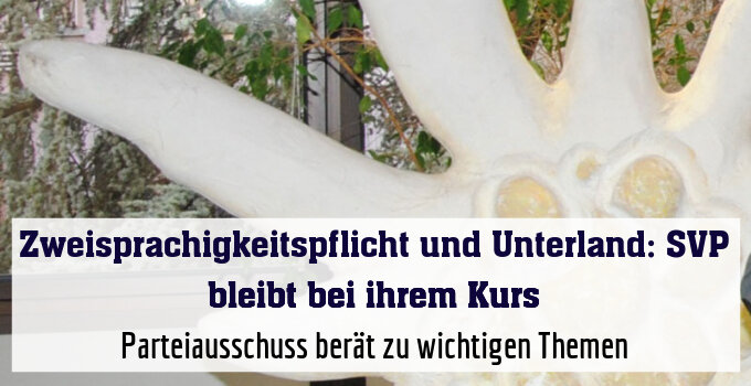 Parteiausschuss berät zu wichtigen Themen