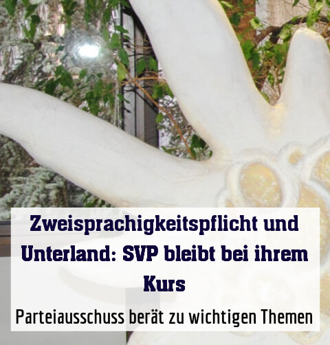 Parteiausschuss berät zu wichtigen Themen