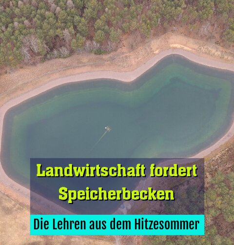 Die Lehren aus dem Hitzesommer