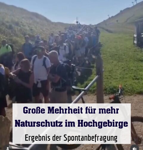 Ergebnis der Spontanbefragung