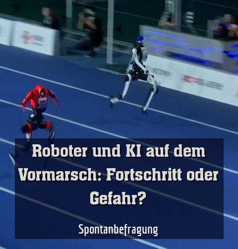 Spontanbefragung
